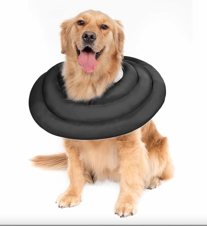 inflatable dog cone alternative